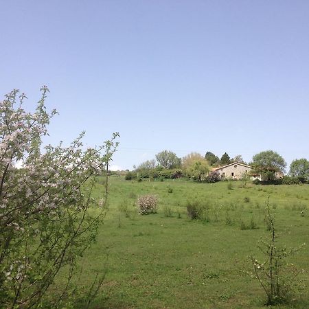Les Gîtes d'Eliane Laragne Extérieur photo