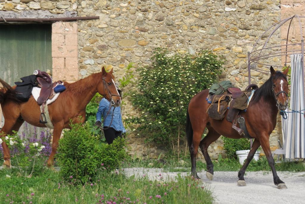 Les Gîtes d'Eliane Laragne Extérieur photo