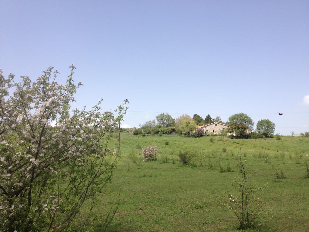 Les Gîtes d'Eliane Laragne Extérieur photo